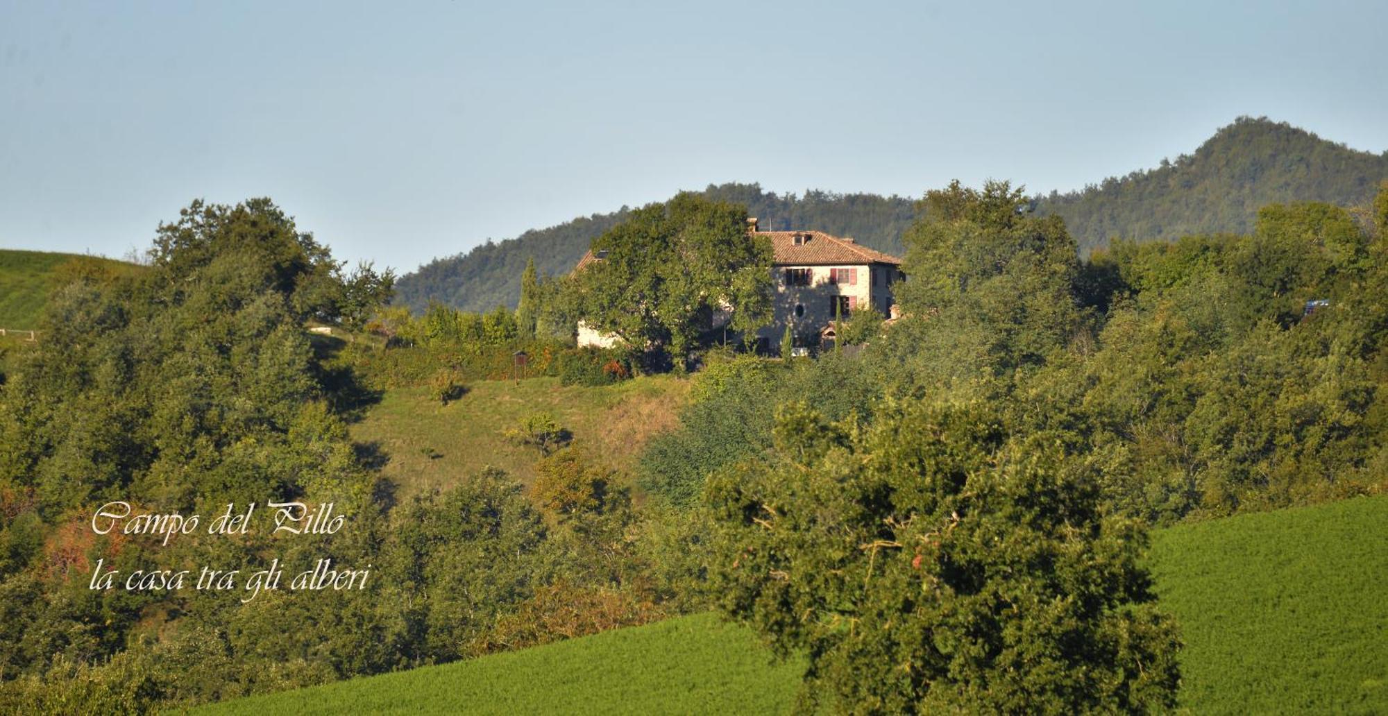 Agriturismo Campo Del Pillo Pietradura Exterior foto